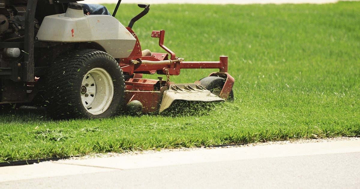 ALMA Adelaide Lawnmowers Association MGA Insurance Group