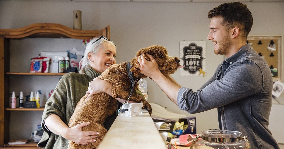 Pet Industry Insurance Brokers | MGA Insurance Group