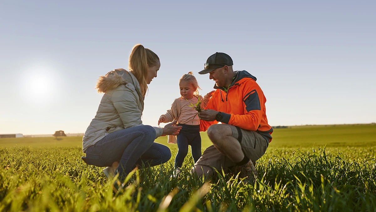 What is Blockchain and How is it Used in Australian Farming?